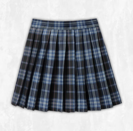 Back To School Plaid Skirt